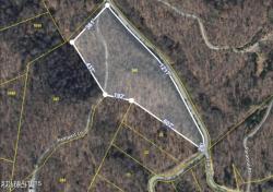 Mountain Shores Rd New Tazewell, TN 37825