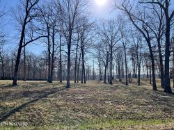 Lot 31 Bluff View Loop Crossville, TN 38571