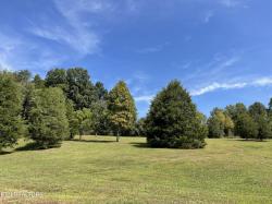 Hendren Lane Clinton, TN 37716