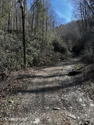 250 Seng Garden Rd Tellico Plains, TN 37385