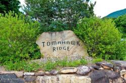 Lot 1 & 2 Tomahawk Drive Cosby, TN 37722