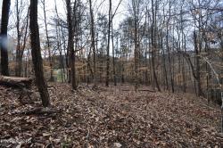 10.02 Acre Old Tazewell Pike Luttrell, TN 37779