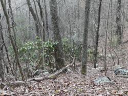 Lot 35 Elderberry Drive Sevierville, TN 37876