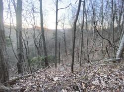 Lot 36 Elderberry Drive Sevierville, TN 37876