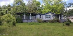 134 Skyview Rd Speedwell, TN 37870