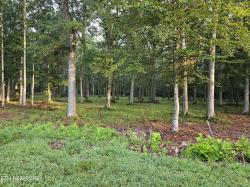 Lot 5 Deerwood Drive Dandridge, TN 37725