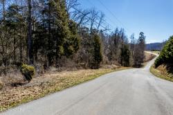 Lot #44 Old Leadmine Bend Rd Sharps Chapel, TN 37866