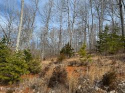 Lot #100 Pinnacle Pointe Way Sharps Chapel, TN 37866