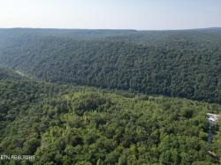 20 Acres Cherokee Trl Rd Wartburg, TN 37887