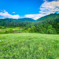 Lot 173 Claudes Nest Sharps Chapel, TN 37866