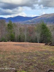 Lot 5 Coker Creek Trail Tellico Plains, TN 37385