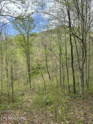 Holden Hollow Rd Jamestown, TN 38556