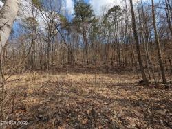 Apache Trail, Lot 28 Rd Jamestown, TN 38556