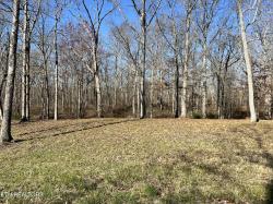 Lot 9 Bluff View Loop Crossville, TN 38571