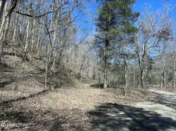 Skaggs Hollow Rd Tazewell, TN 37879