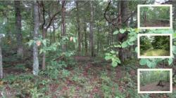 5.017ac Backwoods Trail Celina, TN 38551