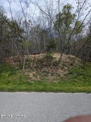 TBD Bluff View Rd New Tazewell, TN 37825