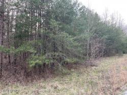 00 Deep Branch Lane Wilder, TN 38589