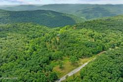 Bear Knob Lane Crawford, TN 38554