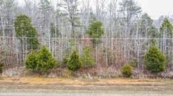 Lot 165 New Hope Rd Rockwood, TN 37854