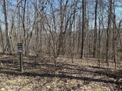 Lot 529 Garnet Trail Tr New Tazewell, TN 37825