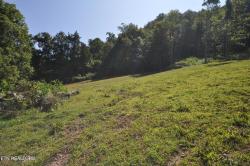 Lot 2 Old Springs Rd Maynardville, TN 37807