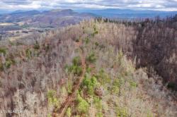 Laurel Creek Rd Tellico Plains, TN 37385