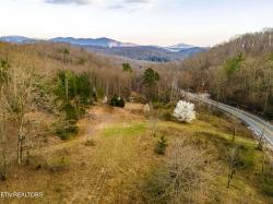 5732 Morgan County Hwy Lancing, TN 37770