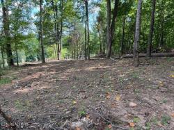 Lot #15 Demory Rd Lafollette, TN 37766