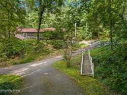 244 Spring Valley Rd Pigeon Forge, TN 37863