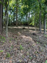 Lot # 16 Demory Rd Lafollette, TN 37766