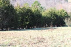 Lot #17 Mockingbird Circle Harrogate, TN 37752