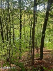 Lot 90 Black Fox Harbor Rd Washburn, TN 37888