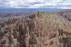 Laurel Creek Rd Tellico Plains, TN 37385