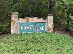 Lot 44E Harvest Moon Rd Sevierville, TN 37862