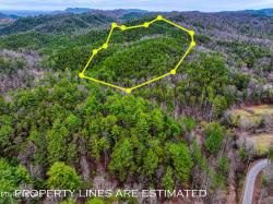 57.09 acs Rafter Rd Tellico Plains, TN 37385