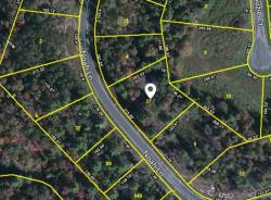 Lot 121 Noah Lane Crossville, TN 38555