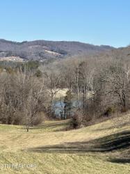 Bob Wright Rd Lot 41 Rd Maynardville, TN 37807