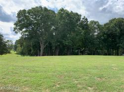 Lot 6 Ancient Oaks Ct White Pine, TN 37890