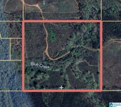 0 County Road 580 0 Verbena, AL 36091