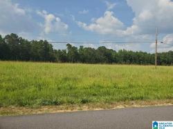 460 Fox Valley Farms Road 3 Maylene, AL 35114
