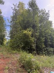 0 County Road 228 1 Maplesville, AL 36750