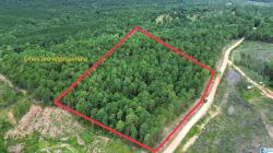 204 County Road 485 0 Clanton, AL 35046