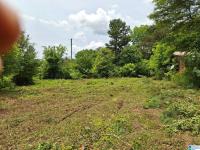 7953 Chalkmine Road Hackleburg, AL 35564