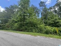 0 County Road 88 1 Guin, AL 35563