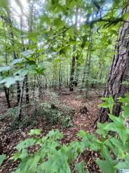 0 Andrew Jackson Road 19 Alexander City, AL 35010
