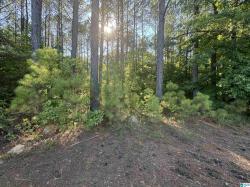 0 County Road 879 17 Selma, AL 36701