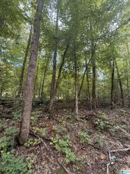 0 County Road 312 W Lot Maplesville, AL 36750