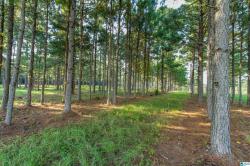 0 County Road 48 1 Jemison, AL 35085