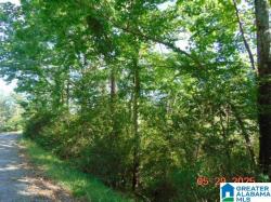 Lot 1 County Road 182 1 Clanton, AL 35045